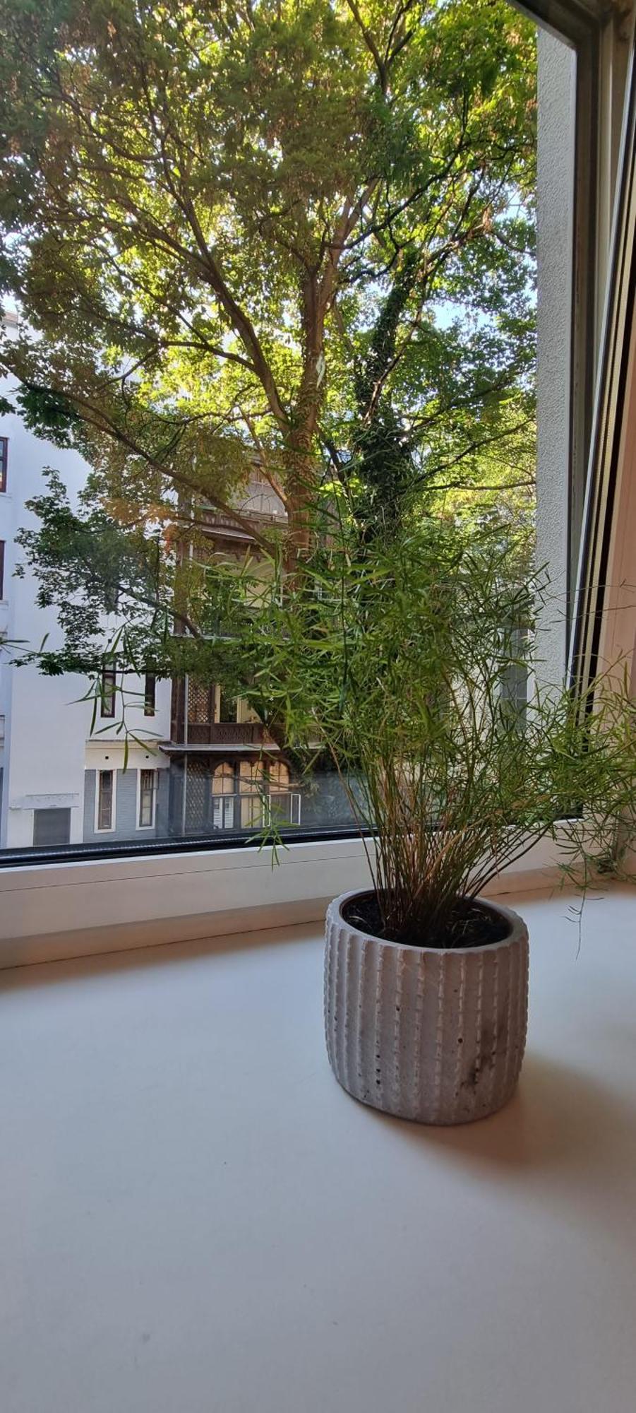 Vienna My City Apartment 1 Bedroom المظهر الخارجي الصورة